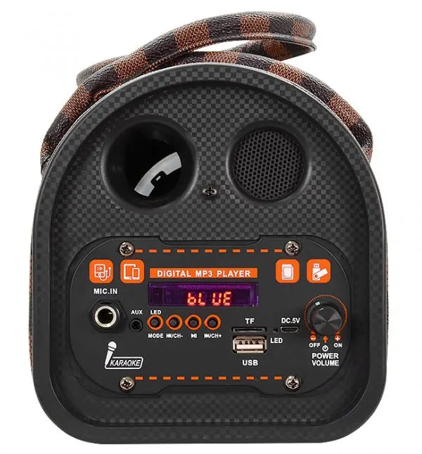Portable Karaoke Bluetooth Speaker (TTD-501)