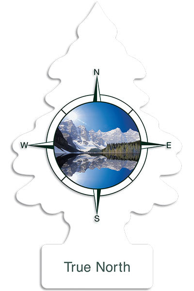 Little Tree Single – 24 Pack