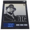 Notorious Big CD Scale -BGCO100 (100g x 0.01)